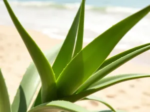 Co na oparzenia po solarium?